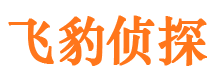 庆安市出轨取证